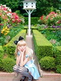 cosplay套图 c78 NECOCO.in.Wonderland(41)